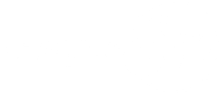 The Olivet Family Experience Logo